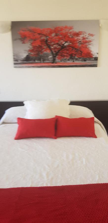 Estudio Ana Puerto de la Cruz  Dış mekan fotoğraf